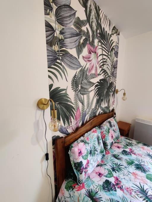 Le Tropica Appartement 2 Chambres, Plein Sud Centre Ville De Vitre מראה חיצוני תמונה