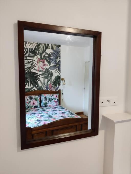 Le Tropica Appartement 2 Chambres, Plein Sud Centre Ville De Vitre מראה חיצוני תמונה