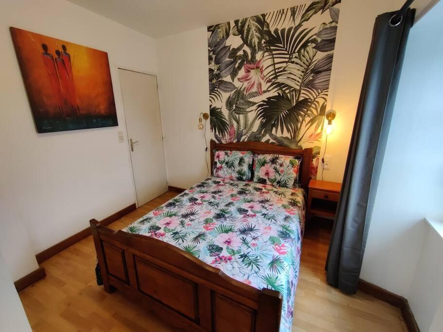 Le Tropica Appartement 2 Chambres, Plein Sud Centre Ville De Vitre מראה חיצוני תמונה