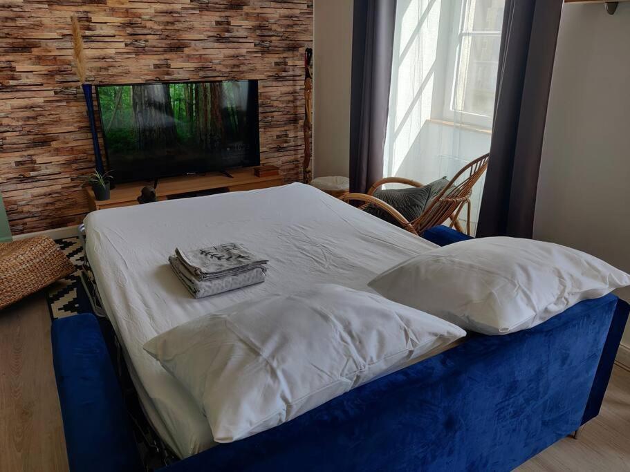 Le Tropica Appartement 2 Chambres, Plein Sud Centre Ville De Vitre מראה חיצוני תמונה